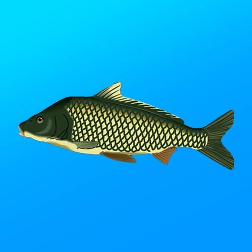 True Fishing. Simulator 1.17.1.852