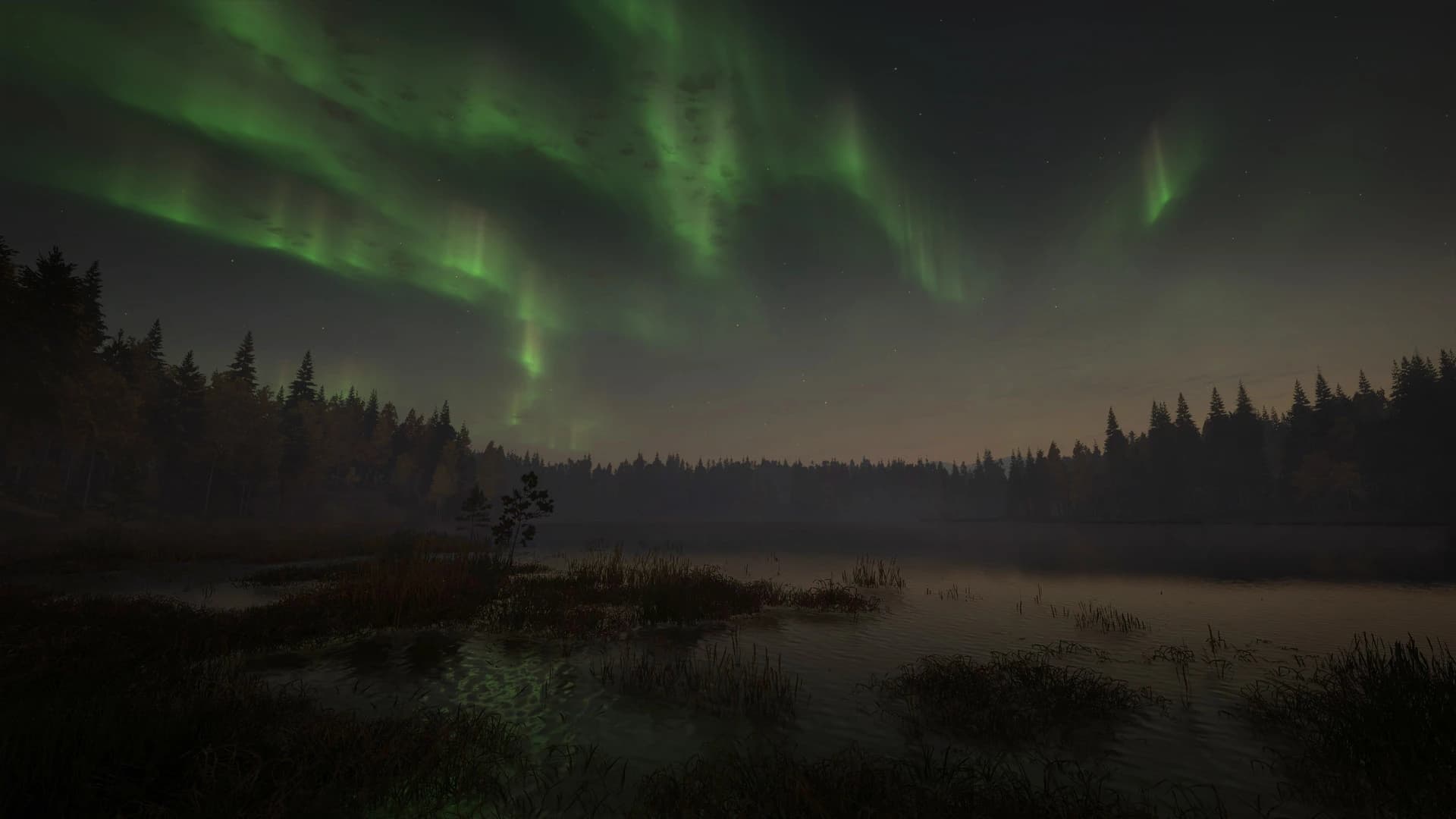 https://media.imgcdn.org/repo/2023/06/thehunter-call-of-the-wild-revontuli-coast/6499230259568-thehunter-call-of-the-wild-revontuli-coast-screenshot4.webp