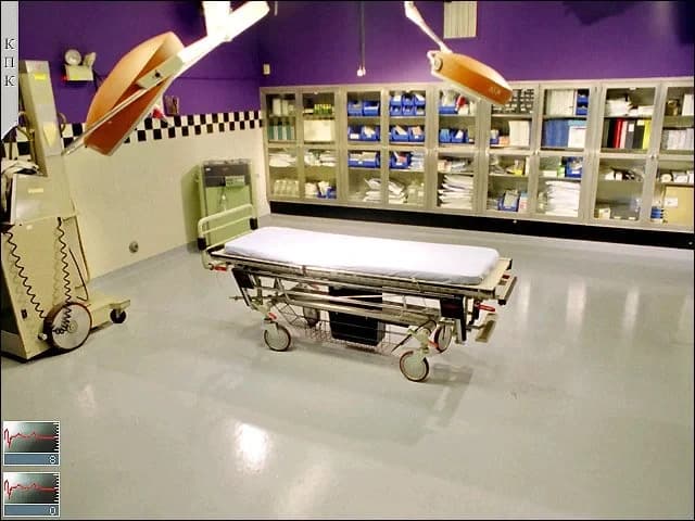 https://media.imgcdn.org/repo/2023/10/emergency-room-3/6527a248509d6-emergency-room-3-screenshot1.webp