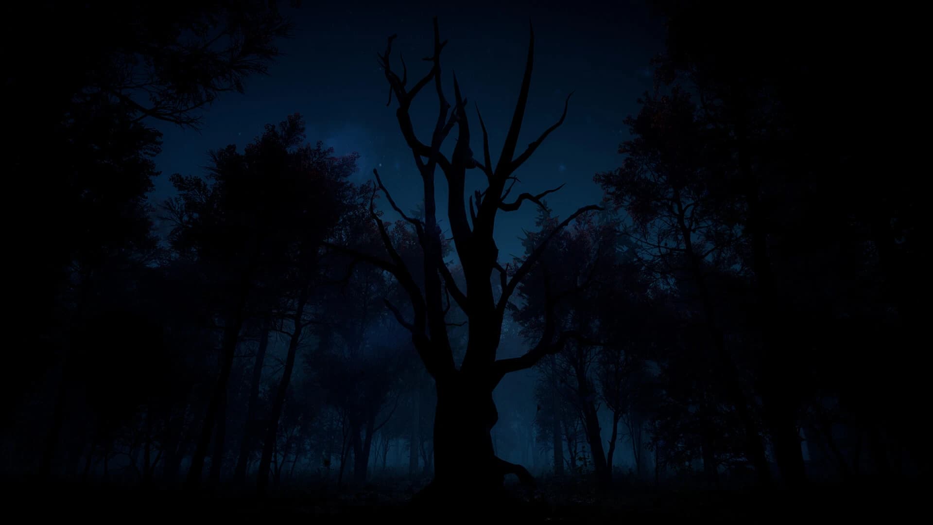 https://media.imgcdn.org/repo/2023/11/slender-the-arrival/6568670a2736f-slender-the-arrival-screenshot7.webp