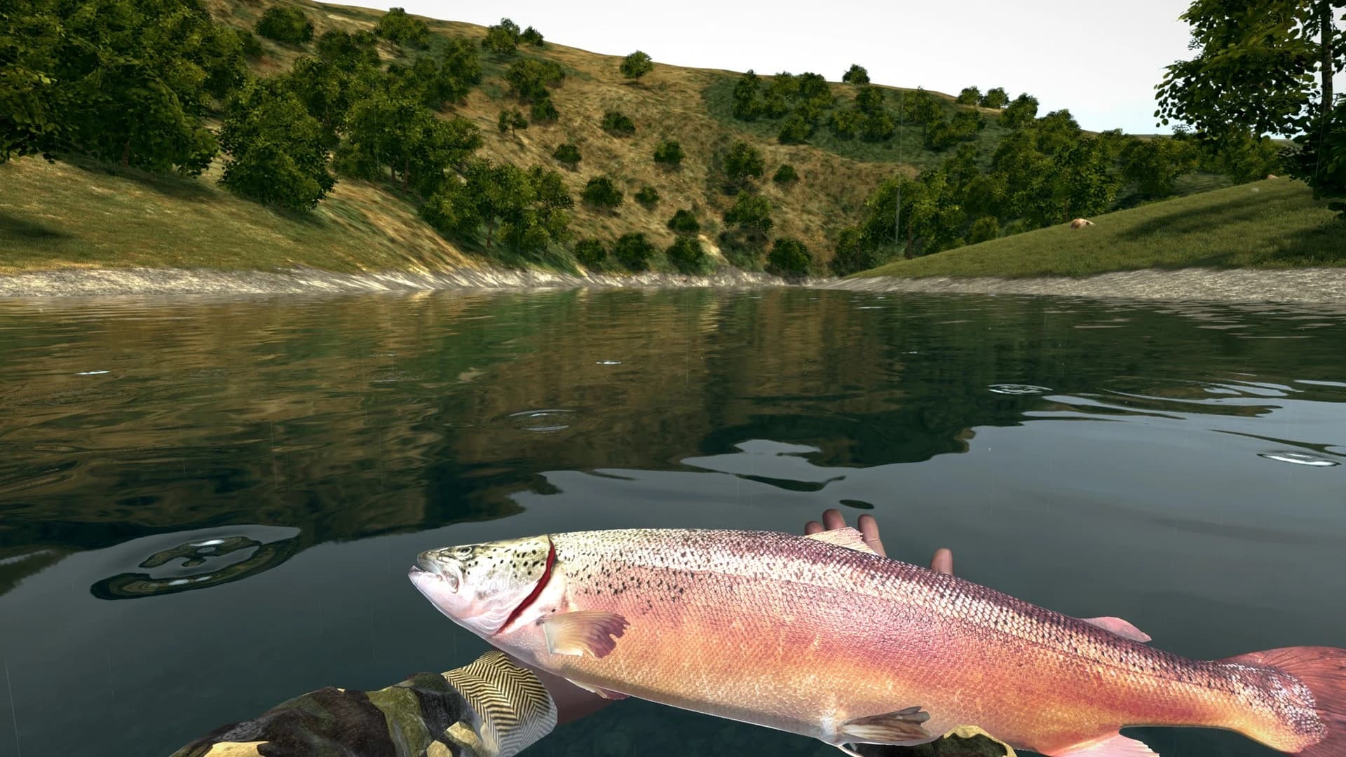 https://media.imgcdn.org/repo/2023/12/ultimate-fishing-simulator/65891c806a48b-ultimate-fishing-simulator-screenshot7.webp