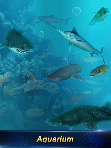 https://media.imgcdn.org/repo/2024/01/monster-fishing-2024/65a1321c622bb-monster-fishing-2024-screenshot10.webp