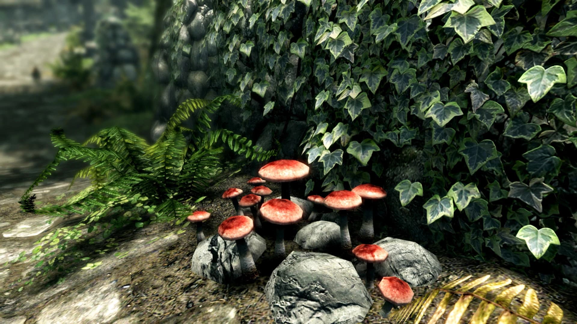 https://media.imgcdn.org/repo/2024/01/the-elder-scrolls-v-skyrim-special-edition/65adffca91bf0-the-elder-scrolls-v-skyrim-special-edition-screenshot4.webp