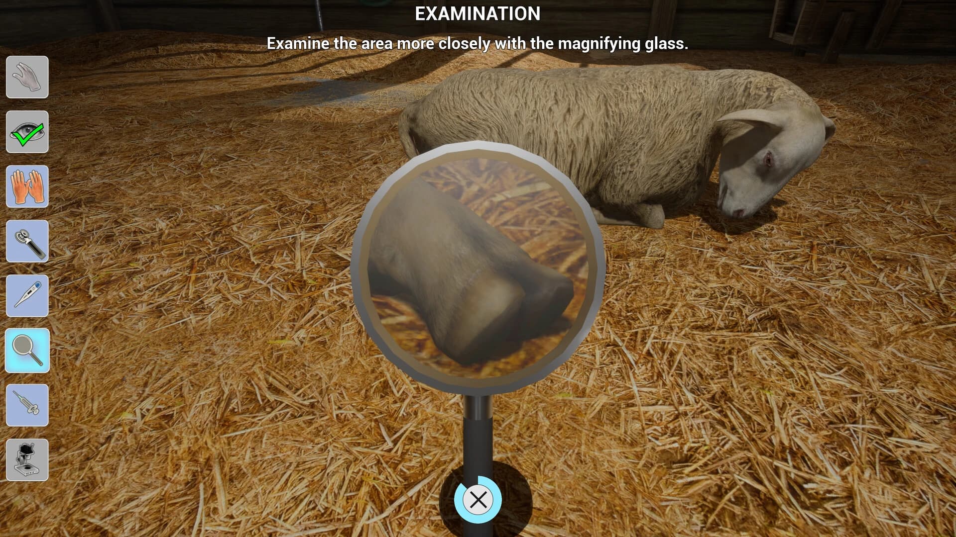 https://media.imgcdn.org/repo/2024/04/my-life-farm-vet/661e126f86b6c-my-life-farm-vet-screenshot6.webp