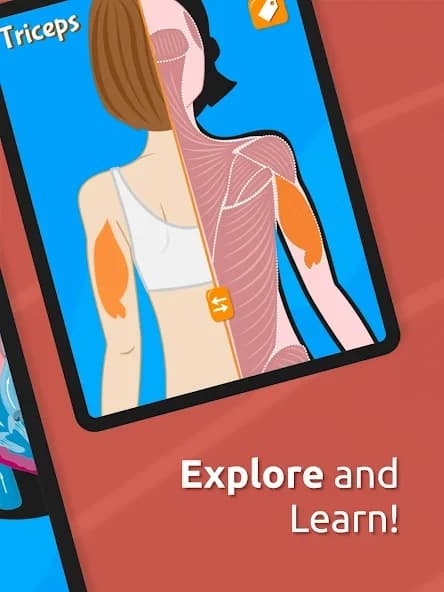 https://media.imgcdn.org/repo/2024/09/human-anatomy-body-parts/66e8214a95cc1-human-anatomy-body-parts-screenshot4.webp