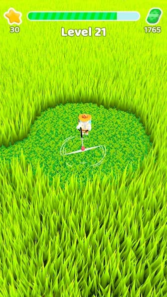 https://media.imgcdn.org/repo/2024/09/mow-my-lawn-cutting-grass/66e42e6fb63d9-mow-my-lawn-cutting-grass-screenshot17.webp