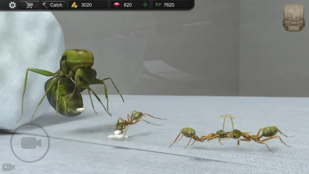 https://media.imgcdn.org/repo/2024/10/ant-sim-tycoon/67120b6a0ea2e-com-trinitygames-antsim-screenshot14.webp