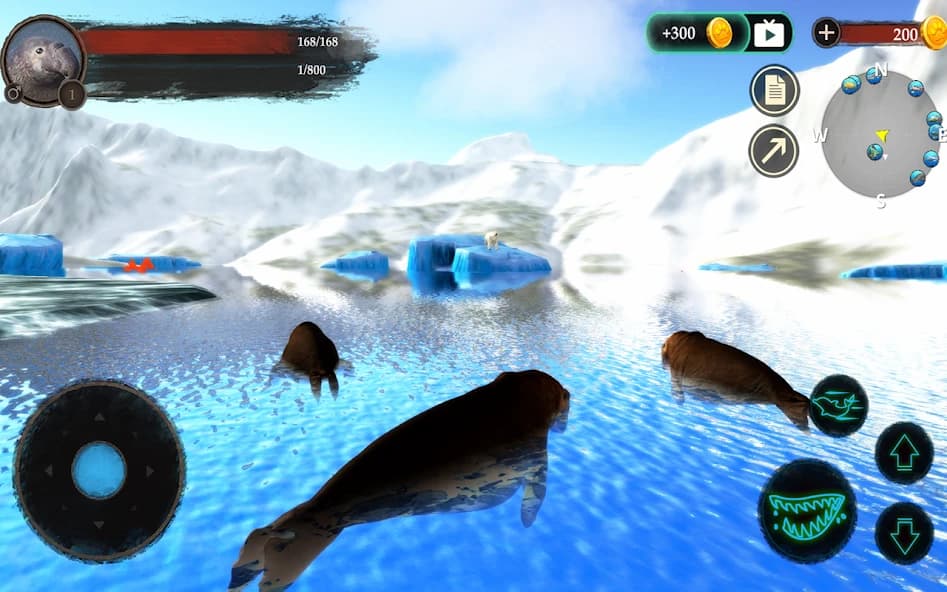 https://media.imgcdn.org/repo/2024/10/the-seal-elephant/66fba6b060de7-com-wildlife-sealelephant-screenshot17.webp