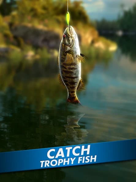 https://media.imgcdn.org/repo/2024/12/go-fishing-fish-game/675ffe053cc98-go-fishing-fish-game-screenshot10.webp