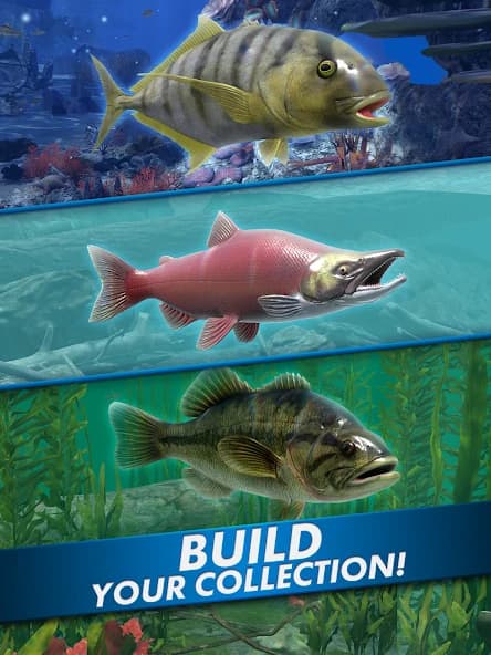 https://media.imgcdn.org/repo/2024/12/go-fishing-fish-game/675ffe1214fc3-go-fishing-fish-game-screenshot22.webp