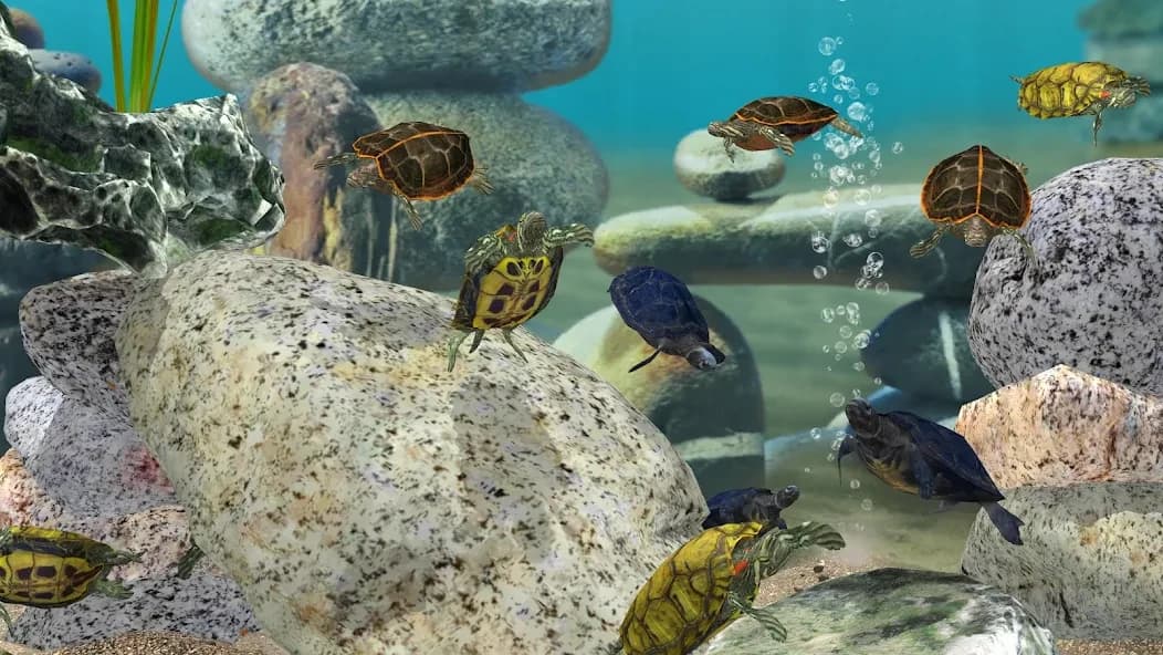 https://media.imgcdn.org/repo/2025/01/fish-farm-3-aquarium/6791dbbf68fe7-fish-farm-3-aquarium-screenshot20.webp