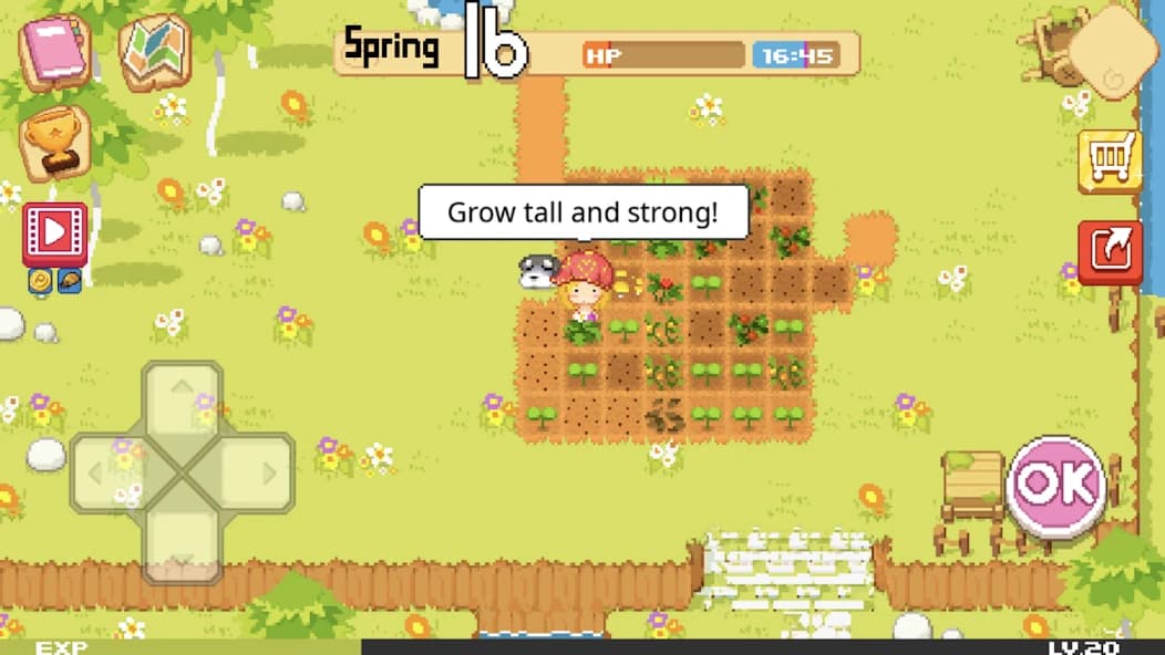 https://media.imgcdn.org/repo/2025/01/the-farm-sassy-princess/67810c707d390-the-farm-sassy-princess-screenshot22.webp