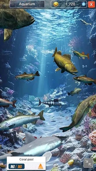 https://media.imgcdn.org/repo/2025/04/ocean-fishing-king/6808746180cbb-ocean-fishing-king-screenshot20.webp