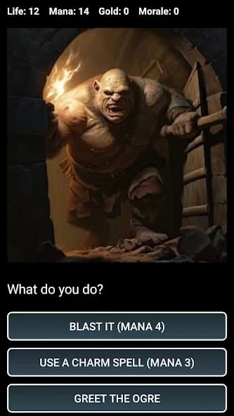 https://media.imgcdn.org/repo/2025/06/dungeons-and-decisions-rpg/685555061f30f-dungeons-and-decisions-rpg-screenshot2.webp