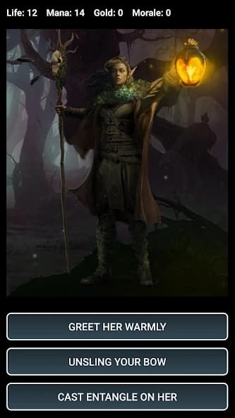 https://media.imgcdn.org/repo/2025/06/dungeons-and-decisions-rpg/6855551583a72-dungeons-and-decisions-rpg-screenshot15.webp